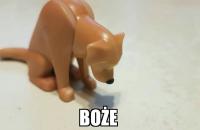 komentarz obrazkowy