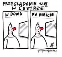 komentarz obrazkowy
