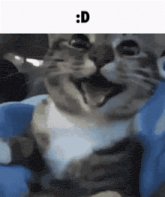 komentarz obrazkowy