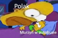 komentarz obrazkowy