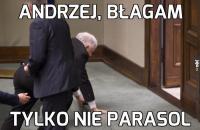 komentarz obrazkowy