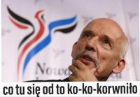 komentarz obrazkowy