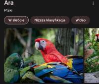 komentarz obrazkowy