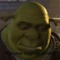 komentarz obrazkowy