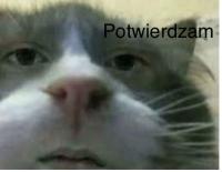 komentarz obrazkowy