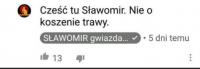 komentarz obrazkowy