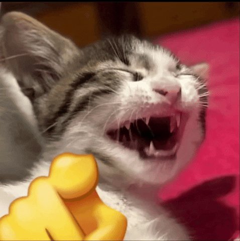 komentarz obrazkowy