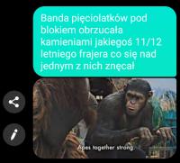 komentarz obrazkowy