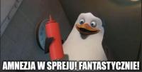 komentarz obrazkowy