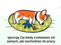 komentarz obrazkowy