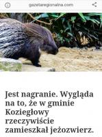 komentarz obrazkowy