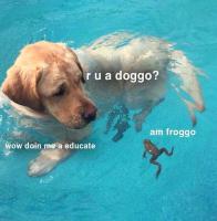 komentarz obrazkowy