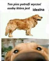 komentarz obrazkowy