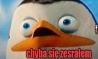komentarz obrazkowy