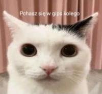 komentarz obrazkowy