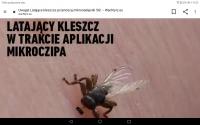 komentarz obrazkowy
