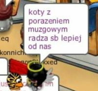 komentarz obrazkowy
