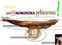 komentarz obrazkowy