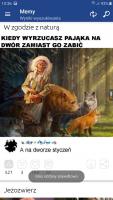 komentarz obrazkowy