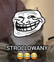 komentarz obrazkowy
