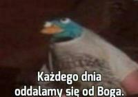 komentarz obrazkowy