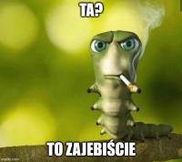 komentarz obrazkowy