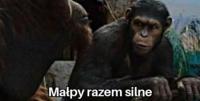 komentarz obrazkowy