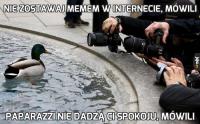komentarz obrazkowy