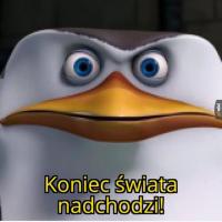 komentarz obrazkowy