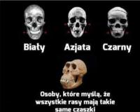 komentarz obrazkowy