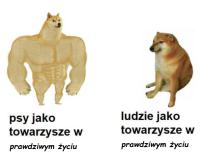 komentarz obrazkowy