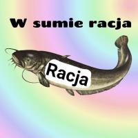 komentarz obrazkowy
