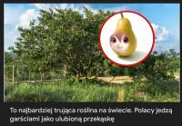 komentarz obrazkowy