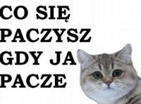 komentarz obrazkowy
