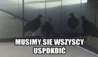 komentarz obrazkowy