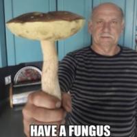 komentarz obrazkowy