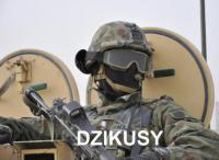 komentarz obrazkowy