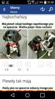 komentarz obrazkowy