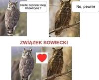 komentarz obrazkowy