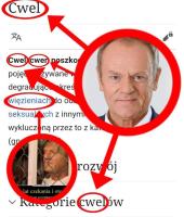 komentarz obrazkowy