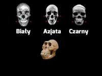 komentarz obrazkowy