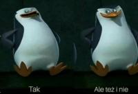 komentarz obrazkowy