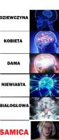 komentarz obrazkowy