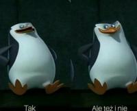 komentarz obrazkowy