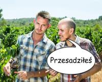 komentarz obrazkowy