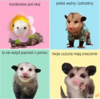 komentarz obrazkowy