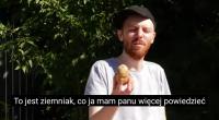 komentarz obrazkowy