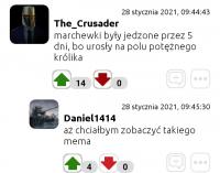 komentarz obrazkowy