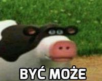 komentarz obrazkowy