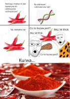 komentarz obrazkowy